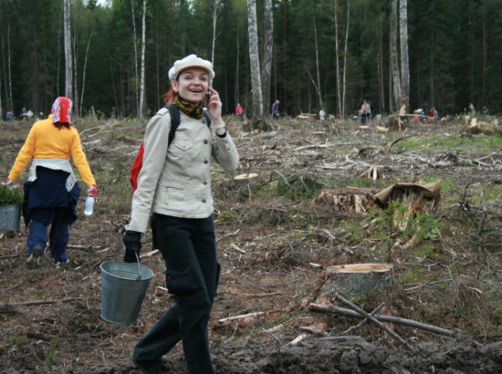 Metsaistutamine 2008, Aegviidu metskonnas